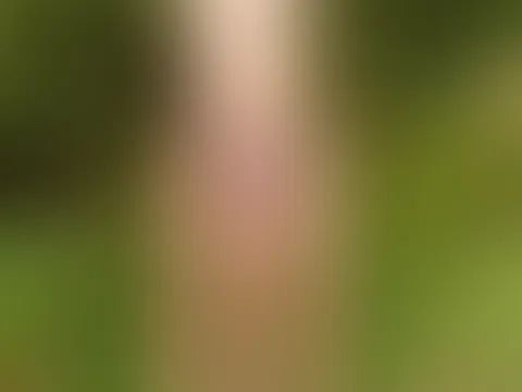 Hopp Schwiiz ⚽️🇨🇭Ich halte meinen Schal hoch in die Luft und lasse meine nackten Titten beim Anfeuern hüpfen