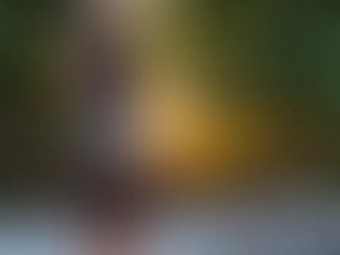 Und ich bin schon unterwegs zu meinen Sachen đââïž