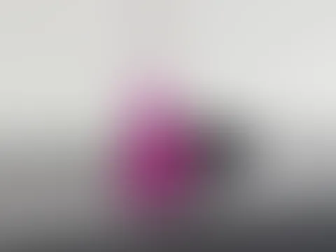 S****t auf der Küchenzeile 💦