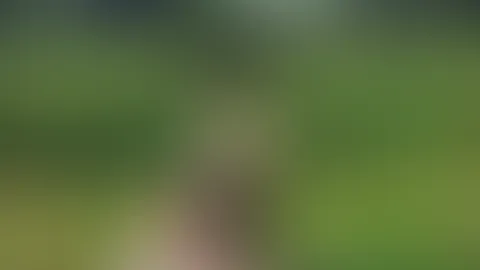 Nachmittagsgedanken draußen... 🖤👟