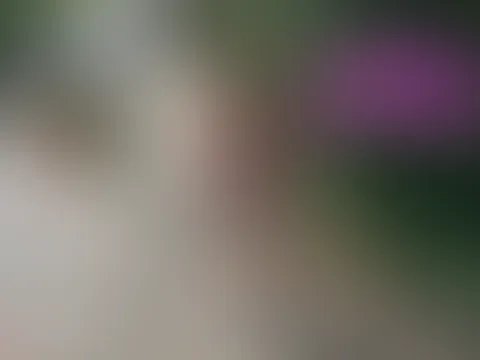 Ferngesteuerte Orgasmuskontrolle durch die Stadt