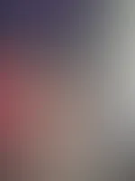 đ
