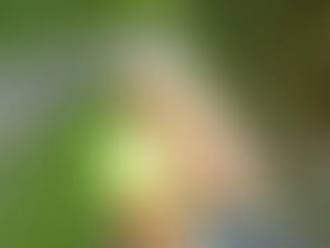Und wieder als Public S****a- und P**se- Klo für jedermann auf einem Rastplatz unterwegs! Teil 2
