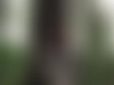 Spontanes Shooting bei einem Bekannten Sextreffpunkt