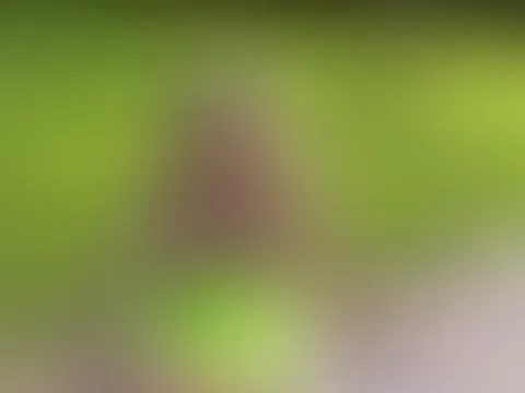 Und wieder als Public S****a- und P**se- Klo für jedermann auf einem Rastplatz unterwegs! Teil 1