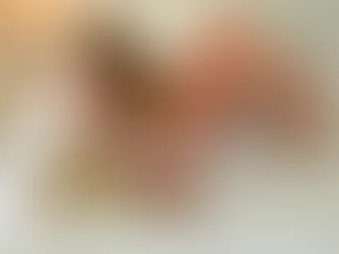 PizzaPizza