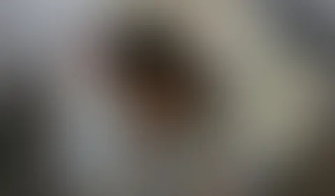 Auf Klassenfahrt ERWISCHT! :o