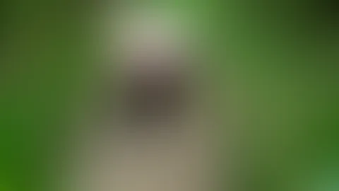 An erotic walk in the woods😏😏😏