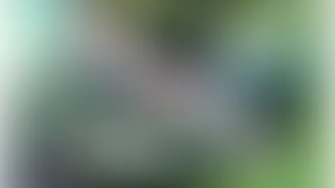 Was kommt da geiles auf dich zu?