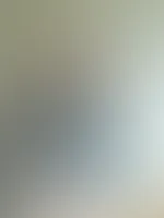 Guten morgen