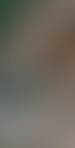Kleine Einsicht