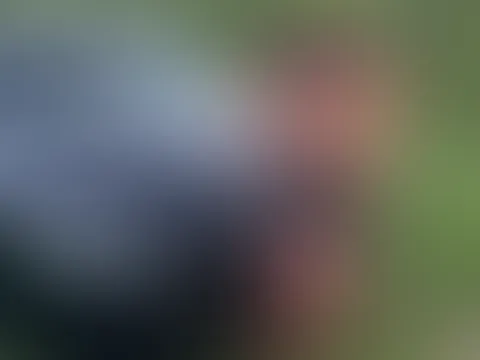 Ein geile Video für dich