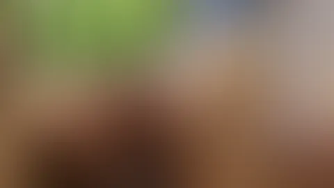 Handjob in the woods