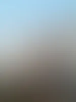 Dass es im November so warm sein kann:/ aber ich habe das Beste draus gemacht und den sonnigen Sonntag am See verbracht undeinpaarAufnahmengemacht. . Bald kommen die Haare ab. Deshalb musste ich sie n