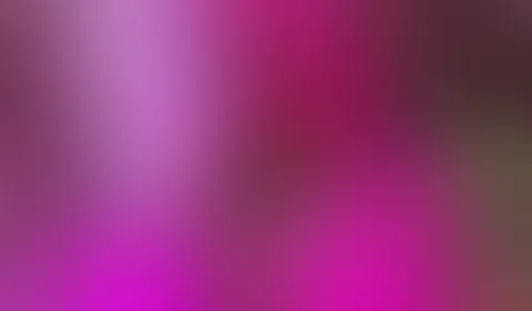 Gratis Clip Venus2023