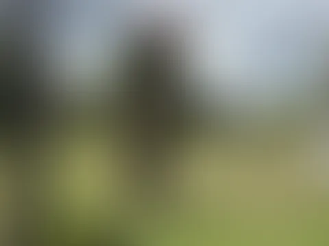 Facial Blowjob Fantasie