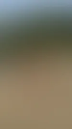 Wünsche euch alle ein versautes Wochenende 🥵