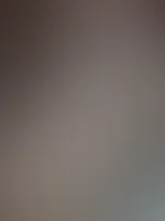 Rutscht gut ins neue Jahr