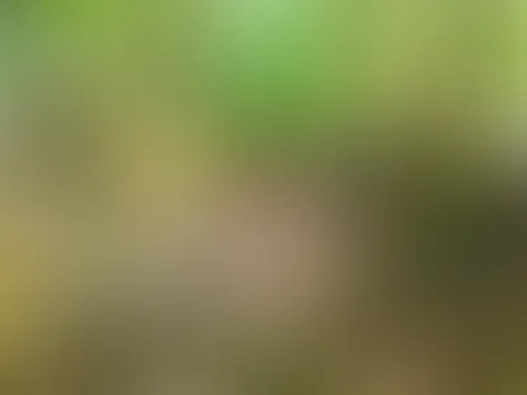 Kleiner heißer Outdoor-Ausflug 😉🤤🍑