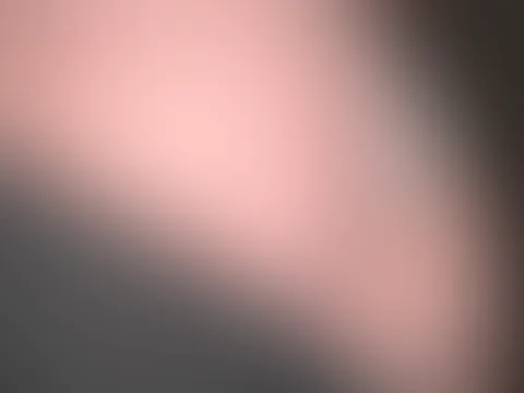 đ