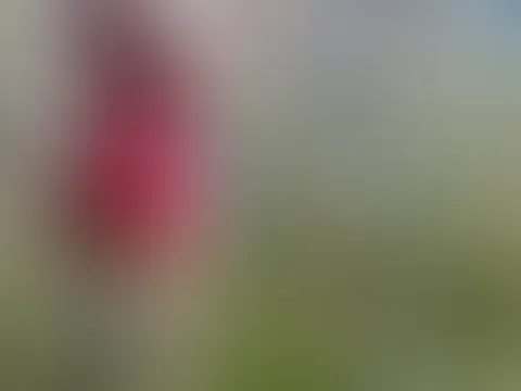B****n ist schön