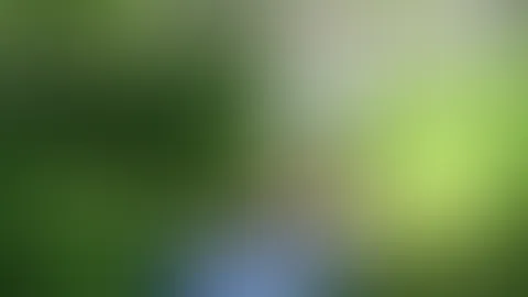 Outdoor bikini massage