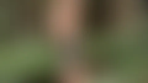 Topless in the woods. I’ll show you just how…