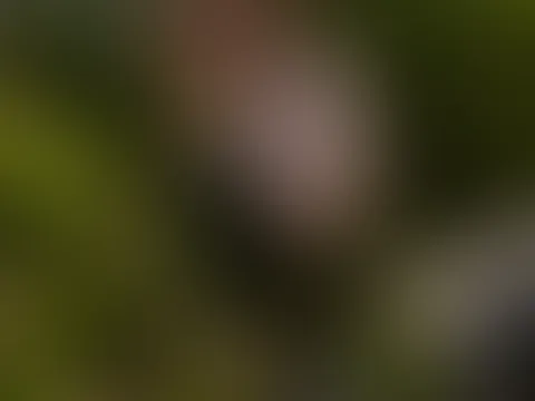 Bock auf die Ganze Oldtimer - Serie ? Es ging ziemlich nackig her :D .. ✋🏻😏❤️