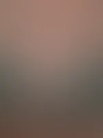 Ein kleiner Einblick für dich