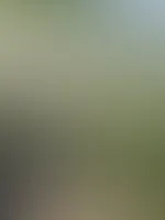 Würdest du dich für mich auch in den Dreck werfen und mein Mistkäfer werden? Würdest du ohne Widerworte dienen?