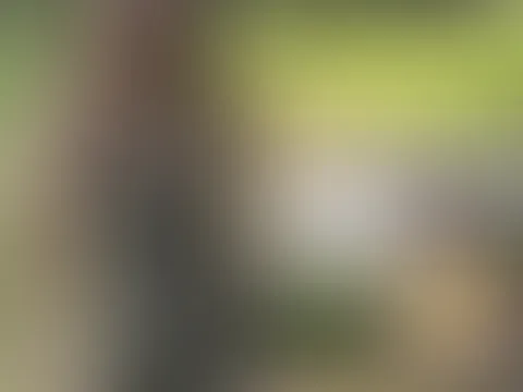 C******e und SCHWANGER Beim ersten Date?!?😰🥵 Er füllt meine junge F***e mitten auf dem FELD?!?🤤🎂🍆