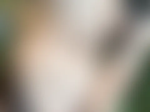 Friday Babyy🔥😜 Ich bin schon wieder soo horny und hab den Lush heute wieder auf ganz besonders günstig gestellt 🤤 alle stufen 💦 Januar ist ja teuer genug 🔥lass uns spritzen Babe 💦 übrigens kanns