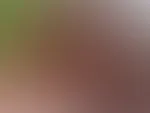 Wie geil es einfach war, mitten auf dem Kanal geleckt zu werden, bis ich komme! 😈