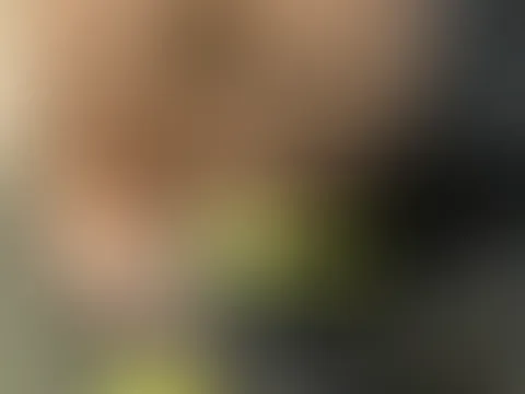 kurz vor dem Live gehen noch ein paar Bilder gemacht ;)