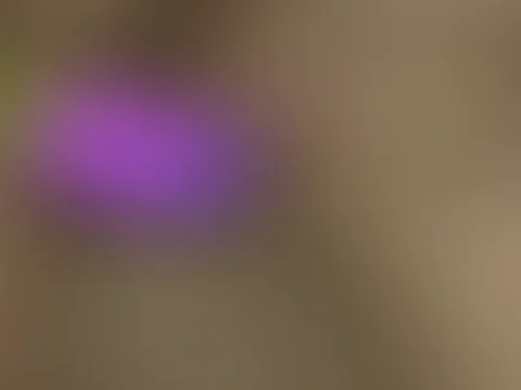 Nahaufnahme von meiner P***y 💦🍆