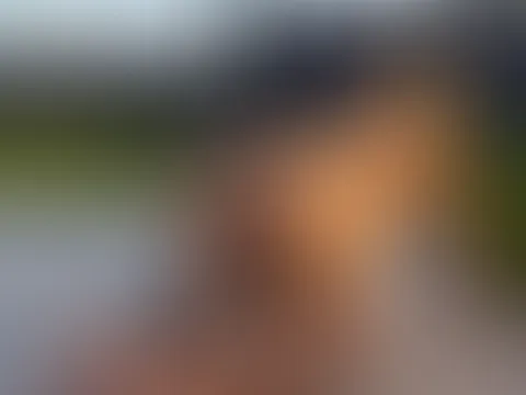 Ich dachte, niemand sieht mich… bis ER kam. 👀
