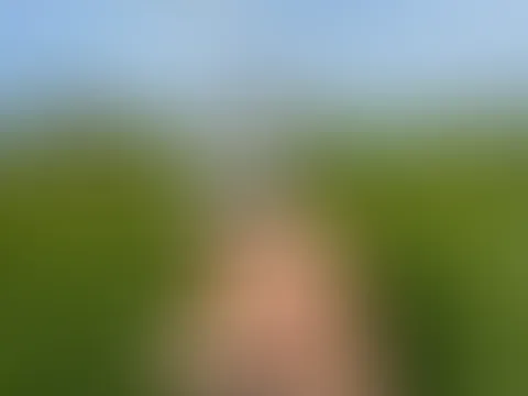 Im transparenten rosa Dessous und weissen Nylons knie ich in der Frühlingswiese. Und bewunderst du meine Knospen oder die der Natur?😉