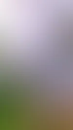 stell dir vor wir sind im sommer unterwegs, unter menschen. ich im shirt ohne bh und es beginnt zu regnen. dann sehe ich so aus. lach