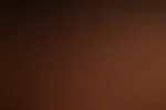Extra Verspieltes und Versautes Album
