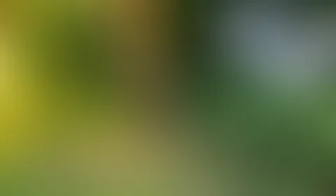 💛 NEUES Natursekt Video - Outdoor in leinenhose 💛