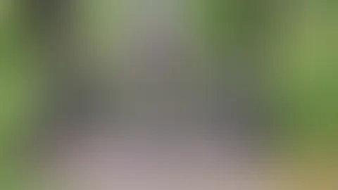 Guten Morgen