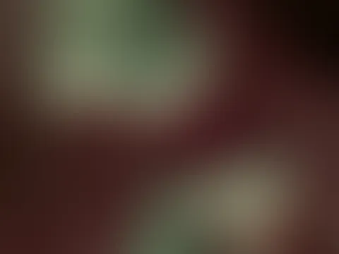 POV Blowjob