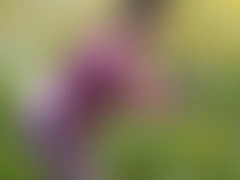 Bin ich süß genug für dich?💕