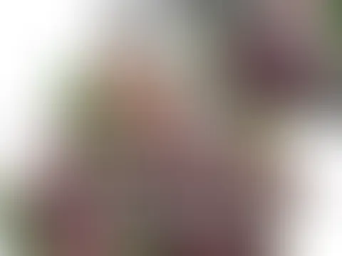 Outdoor | a**l & vaginal inkl. Squirting 🔞💦