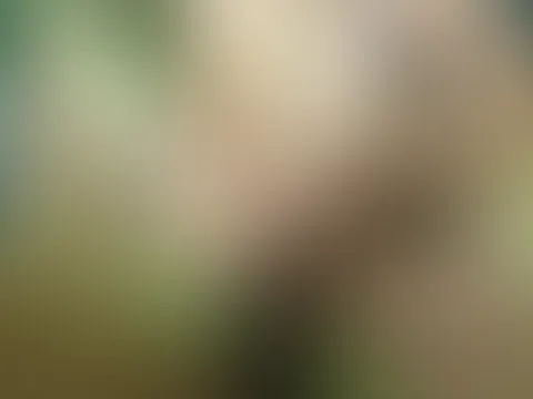 Mit mein schwarzen Dildo