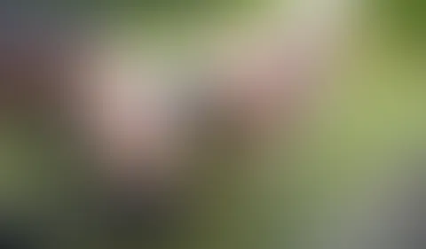 An der Leine ausgeführt zum abp**sen Natursektspiele