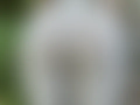Guten Morgen Ich wünsche dir einen geilen Start in den Sonntag ❤️