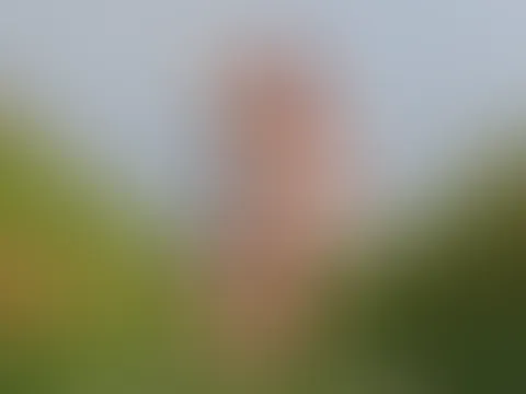 An einem Bekannten Sextreffpunkt