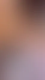 🐱🐱🐱