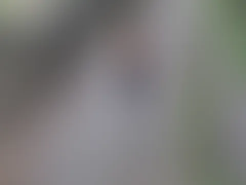 Na möchtest du auch mal mit mir spazieren gehen, mit diesen aussichten? und ich meine nicht die Umgebung 🥵